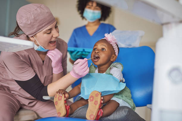 Professional Holistic Dental Care Services in Bally, PA
